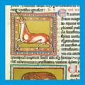 Thumbnail for Cirencester Library - Medieval Bestiaries